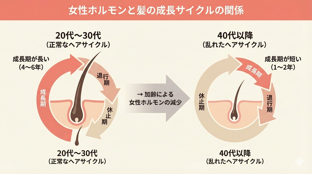 びまん性脱毛症