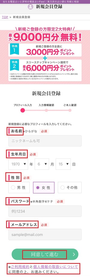 電話占いフィール 口コミ 評判 レビュー 比較 当たる先生 復縁 やり方 始め方 株式会社ランドスケープ