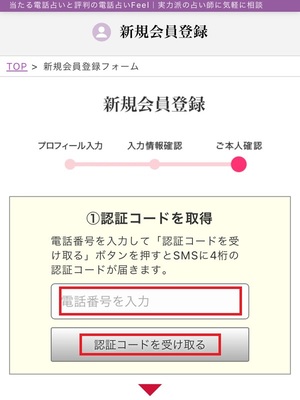 電話占いフィール 口コミ 評判 レビュー 比較 当たる先生 復縁 やり方 始め方 株式会社ランドスケープ