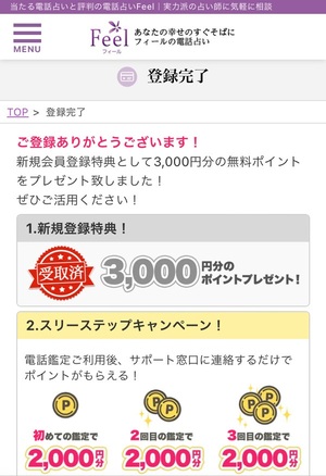 電話占いフィール 口コミ 評判 レビュー 比較 当たる先生 復縁 やり方 始め方 株式会社ランドスケープ