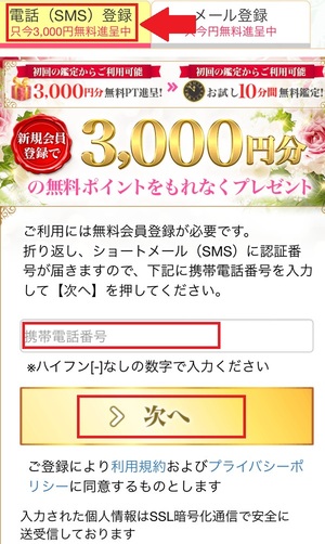 電話占い絆 口コミ 評判 レビュー 比較 当たる先生 復縁 やり方 始め方 ビットアップ株式会社