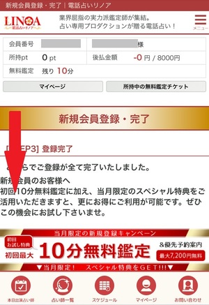 電話占いリノア 口コミ 評判 レビュー 比較 当たる先生 復縁 やり方 始め方 C.S.Eプロダクション株式会社