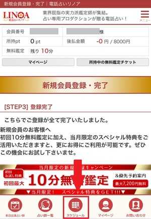 電話占いリノア 口コミ 評判 レビュー 比較 当たる先生 復縁 やり方 始め方 C.S.Eプロダクション株式会社