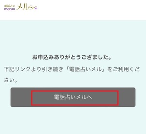 電話占いメル 口コミ 評判 レビュー 比較 当たる先生 復縁 やり方 始め方 テレシスネットワーク株式会社