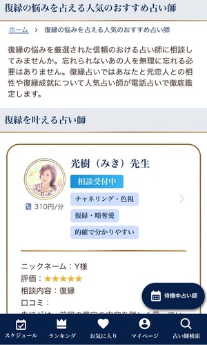 電話占いニーケ 口コミ 評判 レビュー 比較 当たる先生 復縁 やり方 始め方 株式会社クレル