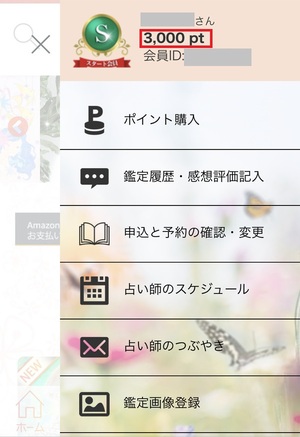 電話とライブ占いのカミールVoIP 口コミ 評判 レビュー 比較 当たる先生 復縁 やり方 始め方 株式会社エムティーアイ