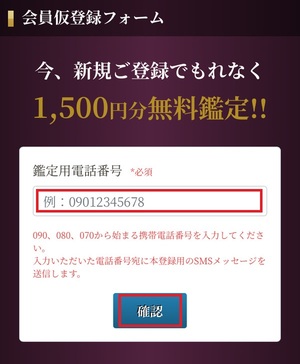 電話占いティユール 口コミ 評判 当たる先生 当たらない 無料 復縁 通話料 株式会社ブリスコア