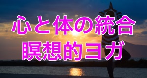 埼玉県和光市 和光市 ホットヨガスタジオ おすすめ 比較 安い 体験レッスン 口コミ 効果 近く 男性