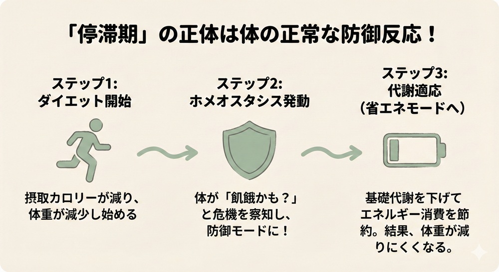 ホットヨガで痩せなくなった原因は？