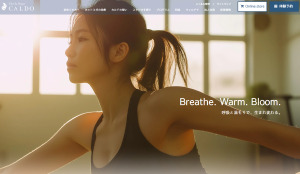 蘇我駅 千葉県千葉市中央区 ホットヨガスタジオ おすすめ 安い