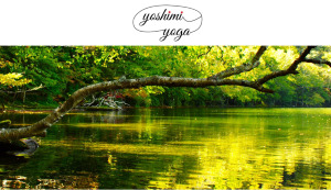 船橋駅 千葉県船橋市 ホットヨガスタジオ おすすめ 安い