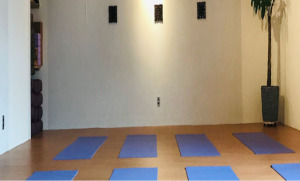 行徳駅 千葉県市川市 ホットヨガスタジオ おすすめ 安い