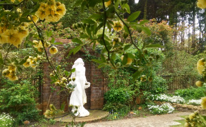 茂原市 千葉県 ホットヨガスタジオ おすすめ 安い