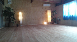 茂原市 千葉県 ホットヨガスタジオ おすすめ 安い