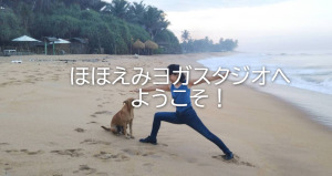 成田市 千葉県 ホットヨガスタジオ おすすめ 安い