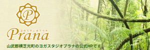 山武市 千葉県 ホットヨガスタジオ おすすめ 安い