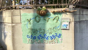 石岡市 茨城県 ホットヨガスタジオ おすすめ 安い