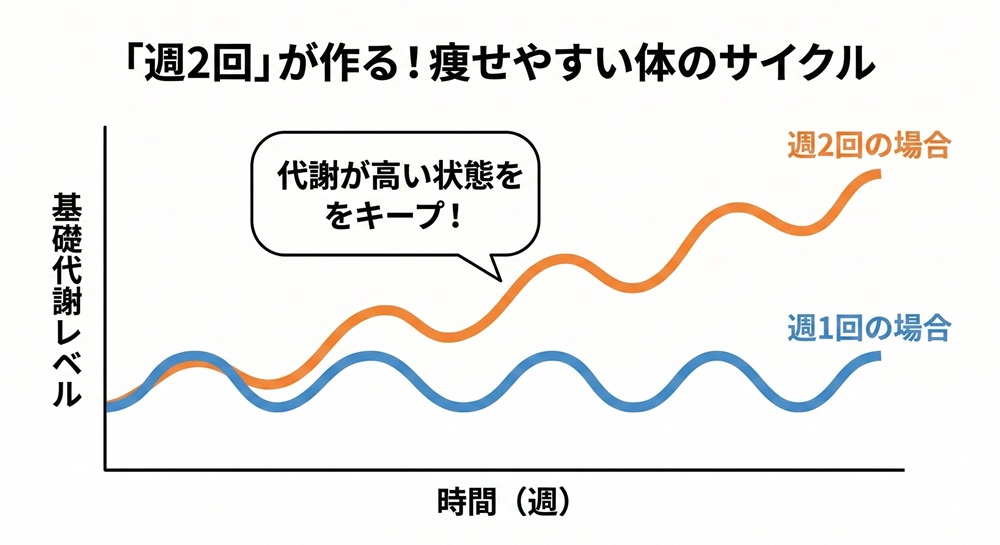 ロイブは週に何回やればいいですか？