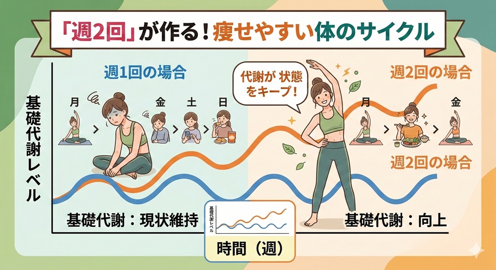 ロイブは週に何回やればいいですか？