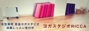 新守山駅 愛知県名古屋市守山区 ホットヨガスタジオ おすすめ 安い