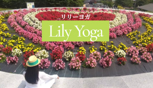 青森市 青森県 ホットヨガスタジオ おすすめ 安い