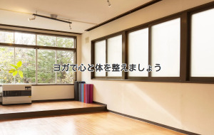 イオン札幌元町 北海道札幌市東区 ホットヨガスタジオ おすすめ 安い