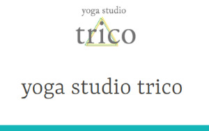 イオン札幌元町 北海道札幌市東区 ホットヨガスタジオ おすすめ 安い