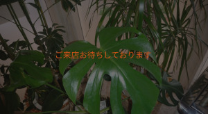 釧路市 北海道 ホットヨガスタジオ おすすめ 安い