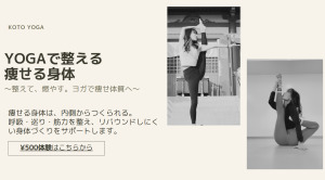 足利市 栃木県 ホットヨガスタジオ おすすめ 安い