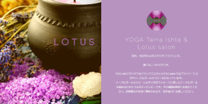 足利市 栃木県 ホットヨガスタジオ おすすめ 安い