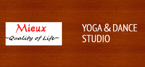 足利市 栃木県 ホットヨガスタジオ おすすめ 安い