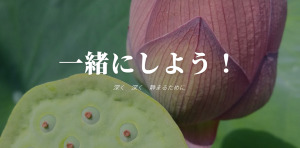 大田原市 栃木県 ホットヨガスタジオ おすすめ 安い