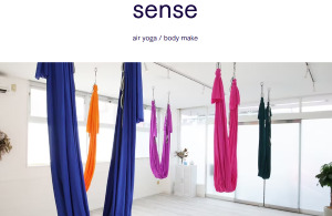 宇都宮市 栃木県 ホットヨガスタジオ おすすめ 安い