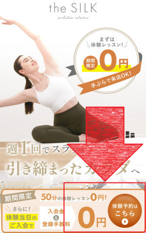 the SILK ザシルク 口コミ 評判 料金 体験レッスン 比較 安い マシンピラティス 株式会社HYV ハイヴ
