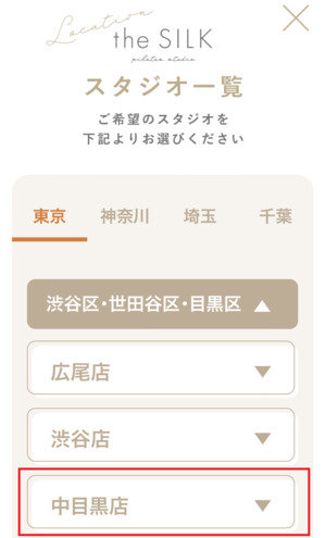 the SILK ザシルク 口コミ 評判 料金 体験レッスン 比較 安い マシンピラティス 株式会社HYV ハイヴ