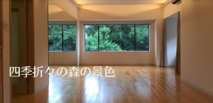 新御茶ノ水駅 東京都千代田区 マシンピラティススタジオ おすすめ 安い 体験レッスン 比較 口コミ 男性