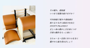 大阪府 パーソナルレッスン ピラティススタジオ 安い おすすめ 体験レッスン 比較 口コミ 男性