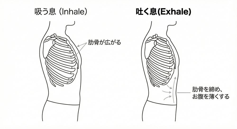 ピラティスでお腹はどう変化しますか？