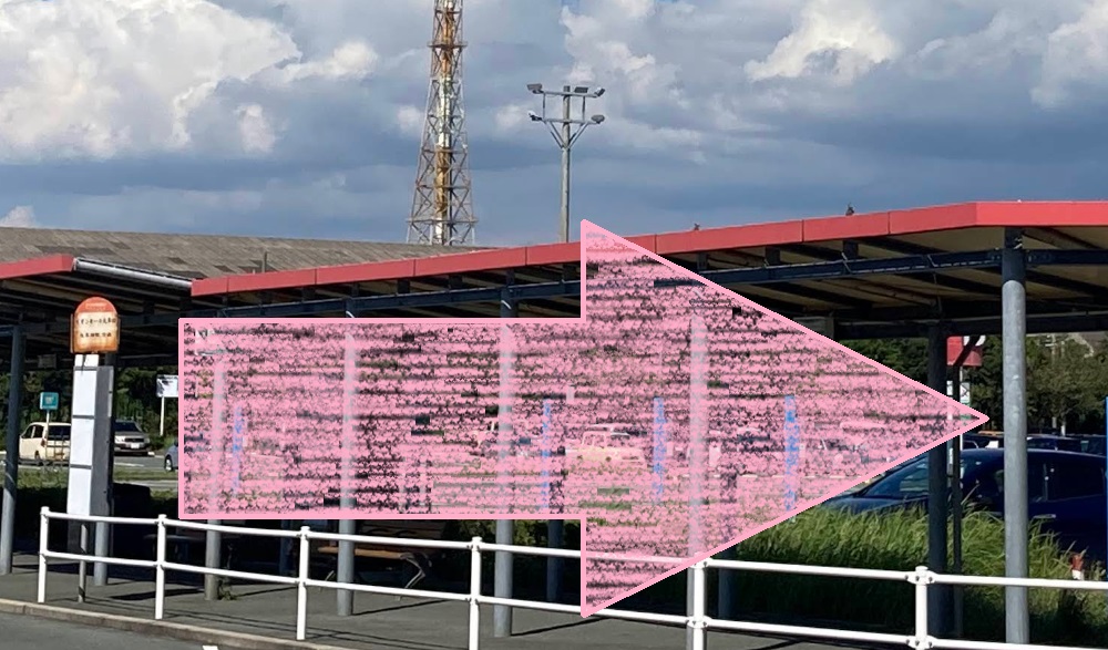 Rintosull イオンモール大牟田 リントスル アクセス 行き方 口コミ 評判 料金 体験レッスン 比較 安い マシンピラティス 株式会社LAVA International