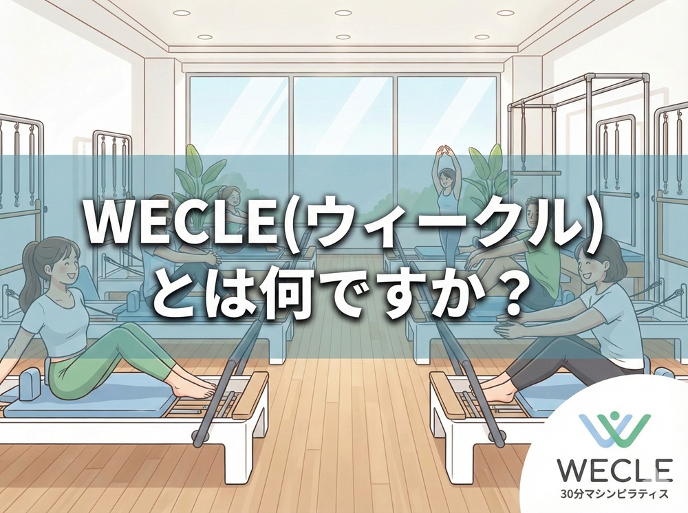 ウィークルとは何ですか？