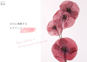 橿原市 奈良県 ピラティススタジオ おすすめ 安い