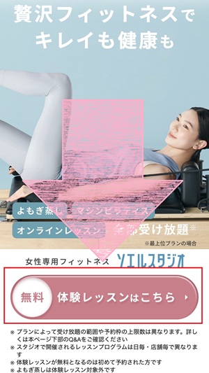 SOELU ソエル 口コミ 評判 SOELU株式会社