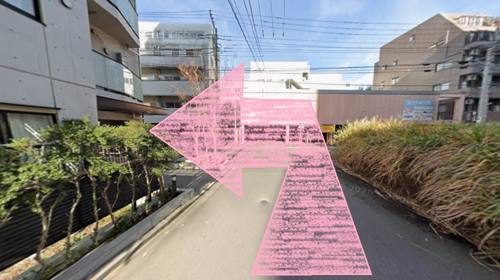ルルト 向ヶ丘遊園店 アクセス 行き方 口コミ 評判 料金 体験レッスン 比較 安い マシンピラティス 株式会社理学ボディ